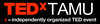TED talk "Coney Island Daydream"